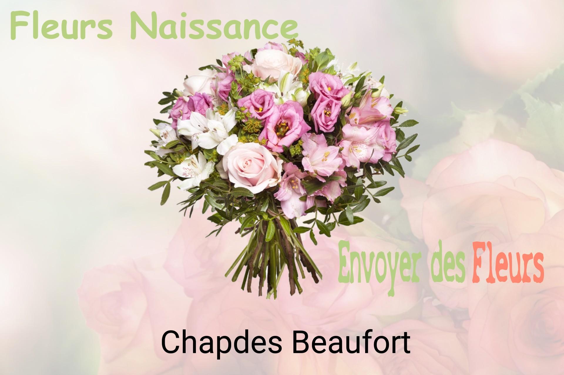 Bouquet de fleurs de naissance livré à Chapdes-Beaufort